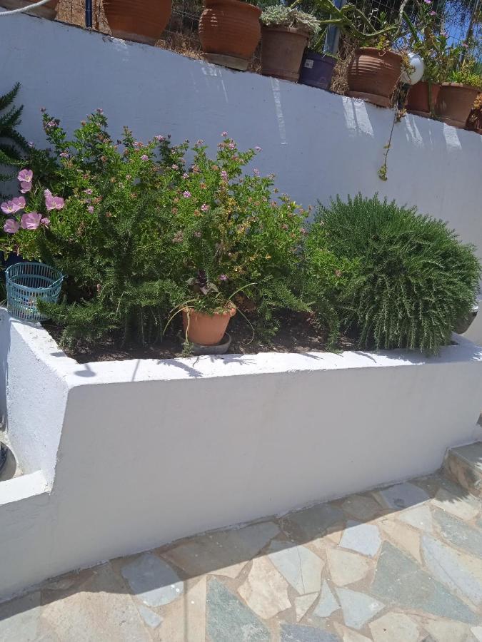To Limanaki Apartment Finikounta Exterior photo